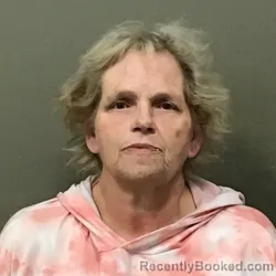 Mugshot of KIMBERLY RAI COLLINS booked in Wilkes County, North Carolina on March 18, 2026