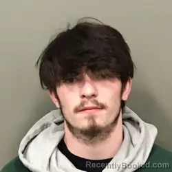 Mugshot of BRYAN LEE WATSON