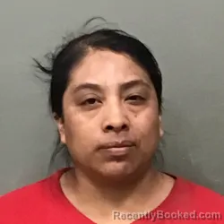 Mugshot of ELIZABETH MARIA THOMAS PEREZ