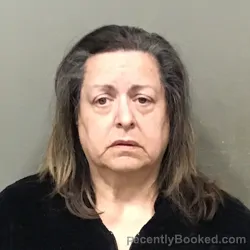 Mugshot of RHONDA KAY WYATT booked in Wilkes County, North Carolina on March 3, 2026