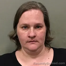 Mugshot of AMANDA LEE SILVA