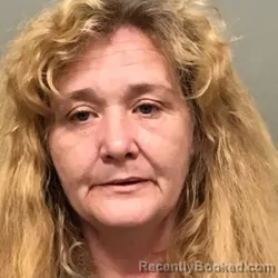 Mugshot of MELISSA ANN BROWN