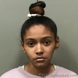 Mugshot of MELISSA ANN JOHNSON