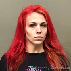 Mugshot of CHASITY NOVELLA HINSON booked in Wilkes County, North Carolina on March 20, 2026