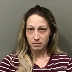 Mugshot of NATASHA DAWN BROWN booked in Wilkes County, North Carolina on March 23, 2026