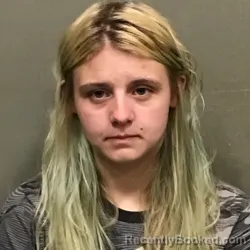 Mugshot of EMMA ROSE ANDERSON booked in Wilkes County, North Carolina on April 3, 2026