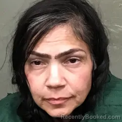 Mugshot of REBECCA ANN LEBOURHIS booked in Wilkes County, North Carolina on April 25, 2026