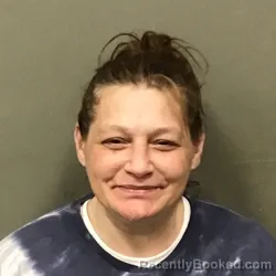 Mugshot of AMANDA DAWN INSCOE booked in Wilkes County, North Carolina on March 20, 2026