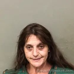 Mugshot of CRYSTAL DENISE CHURCH booked in Wilkes County, North Carolina on April 10, 2026
