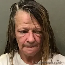 Mugshot of CORINA ANNETTE JOHNSON booked in Wilkes County, North Carolina on March 16, 2026