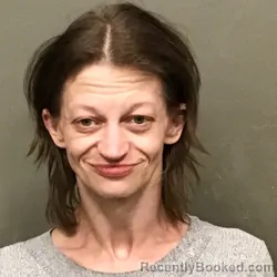 Mugshot of MEGAN LYNN REECE booked in Wilkes County, North Carolina on March 30, 2026