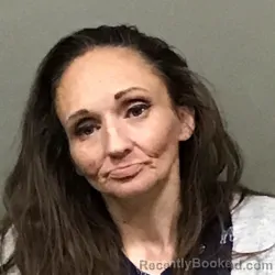 Mugshot of TERESA HODGE BLEVINS booked in Wilkes County, North Carolina on April 23, 2026