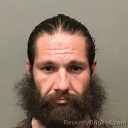 Mugshot of PAUL LESTER LOVE