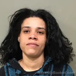 Mugshot of DANISHIA KYSHA VANNOY booked in Wilkes County, North Carolina on March 19, 2026