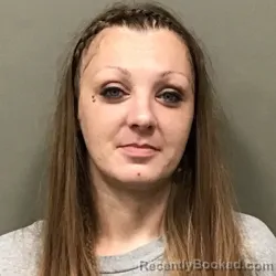 Mugshot of MEAGAN AMBER ANDERSON booked in Wilkes County, North Carolina on July 11, 2026