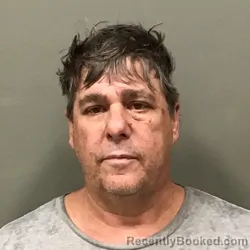 Mugshot of TRACY LEE ANDERSON booked in Wilkes County, North Carolina on June 2, 2026