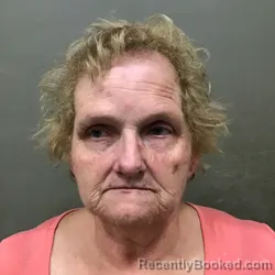 Mugshot of KIMBERLY RAI COLLINS booked in Wilkes County, North Carolina on July 24, 2026