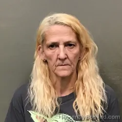 Mugshot of PAULINE SUE CHAMPION booked in Wilkes County, North Carolina on July 22, 2026