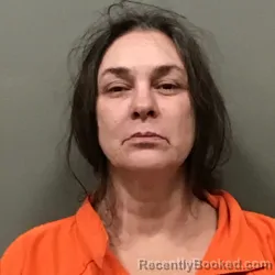 Mugshot of Sharon Renee Cianchetta booked in Wilkes County, North Carolina on October 24, 2026
