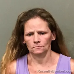 Mugshot of Anita Wynette Dunn booked in Wilkes County, North Carolina on September 4, 2026