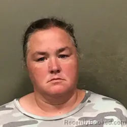 Mugshot of Heather Ann Daisey booked in Wilkes County, North Carolina on August 27, 2026
