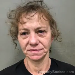 Mugshot of BRANDY NOREEN FRAZIER booked in Wilkes County, North Carolina on June 13, 2026