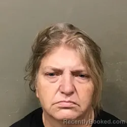 Mugshot of DENISE HAMBY FARMER booked in Wilkes County, North Carolina on August 5, 2026