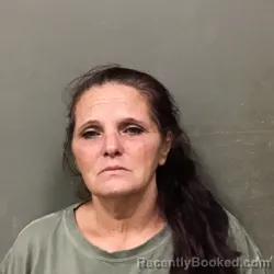 Mugshot of DAWN STURGILL GANT booked in Wilkes County, North Carolina on June 2, 2026