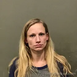 Mugshot of Melissa Sue Gail Hammons booked in Wilkes County, North Carolina on October 26, 2026