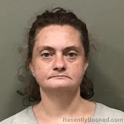 Mugshot of Jessica Lynn Minton booked in Wilkes County, North Carolina on August 18, 2026