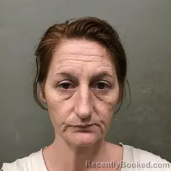 Mugshot of LEERAE SHANNON PENNINGTON booked in Wilkes County, North Carolina on July 2, 2026