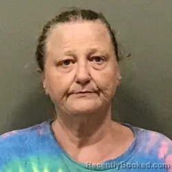 Mugshot of CYNTHIA MARIE ROYAL booked in Wilkes County, North Carolina on July 3, 2026