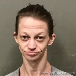 Mugshot of MEGAN LYNN REECE booked in Wilkes County, North Carolina on July 13, 2026