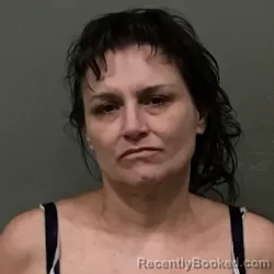 Mugshot of SHANNON ANNETTE ROBERTS booked in Wilkes County, North Carolina on June 24, 2026