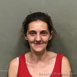 Mugshot of JENNIFER ANN SPRINKLE booked in Wilkes County, North Carolina on May 18, 2026