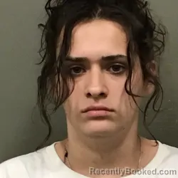 Mugshot of LAKETTA PAULINE SCHARKE booked in Wilkes County, North Carolina on May 16, 2026