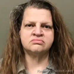 Mugshot of TONYA ANN SIDDEN booked in Wilkes County, North Carolina on May 26, 2026