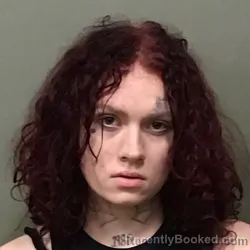Mugshot of TIFFANY HOPE SMITH booked in Wilkes County, North Carolina on June 3, 2026