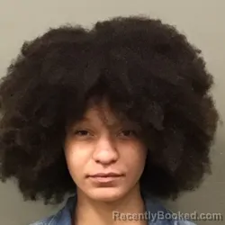 Mugshot of Racquel Tyra Wilson booked in Wilkes County, North Carolina on July 27, 2026