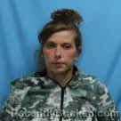 Mugshot of Brittany Sierra Coldren booked in Cass County, Missouri on August 23, 2026