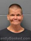 Mugshot of BRANDY LYNN FAIR booked in Cass County, Missouri on June 24, 2026