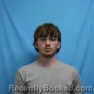 Mugshot of BRICE DILLON HARPER