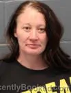Mugshot of BRANDY LYNN MORGAN