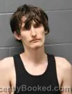 Mugshot of Shane Roth Arcidino