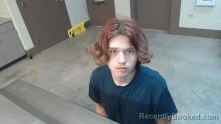 Mugshot of DEZMIND JOHNSON booked in Cedar County, Missouri on April 17, 2026