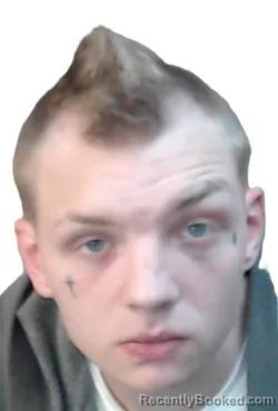 Mugshot of JOHN SANT