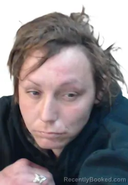 Mugshot of MEGAN BOWLES