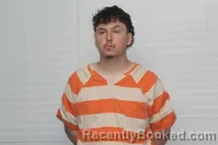 Mugshot of DARYIEN GAGE LINDER