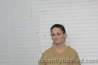 Mugshot of SUMMERLEE MICHELLE BARNETT