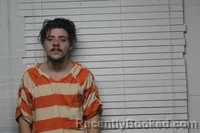 Mugshot of STEVEN ORVELL PARSONS